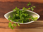 Close-up of fresh chervil in serving dish