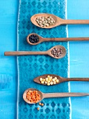 Different types of lentils on wooden spoon