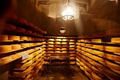 Cheese cellar of Pretzhof in Sterzing