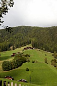 Blick auf das Ultental in Südtirol 