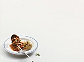 Plate of pig kidney with tomato sauce and bread dumplings on white background