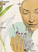 Illustration of person holding thyme plant, sage, lavender and ginger