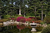 Japanese garden with small pond, trees and flowering shrubs