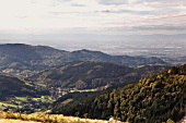 View of Achertal hills and forests in summer, Black Forest, Germany
