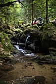 Tourists in Westweg hiking trail, Black Forest, Germany
