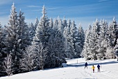 People skiing in snow in Furtwangen, Black Forest, Germany