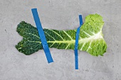 Ernährungs-Check: Wirsingblatt mit Klebeband an die Wand geklebt