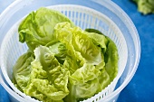 Jahreszeiten-Küche, Grünen Salat in der Salatschleuder trocknen