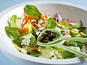 Close-up of colourful mai-salad in bowl