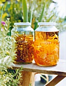 Two glass jars filled with meisterwurz flowers and nasturtiums in alcohol