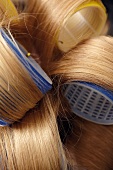 Close-up of curlers in blonde hair