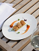 Scallops and spring roll with pearl barley risotto on plate