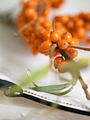 Close-up of bunch of sea buckthorn berries in plate