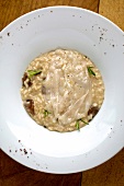 Bowl of porcini mushroom risotto with lardo from 'La Ciau del Tornavento, Piedmont, Italy