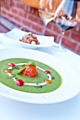 Bowl of green gazpacho with tomato sorbet, New York