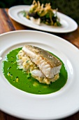Close-up of cod with mashed potato and herbs on plate