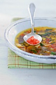 Mangold-Linsen-Suppe 
