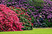 Girl Cycling in Rhododendron park, Bremen, Germany