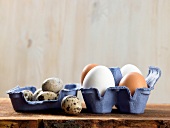 Deutsche Küche, Hühnereier, weiß, braun, Eierpackung