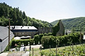 Kloster Marienthal Weingut Ahr