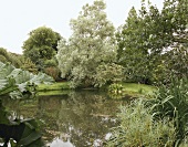 Großer Teich inmitten eines Gartens in England