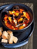 Mussels with tomato sauce served with white bread