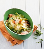 Chinese cabbage noodles with salmon cream and cress in baking tray