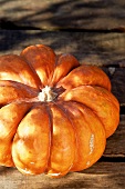 Close-up of pumpkin on wood