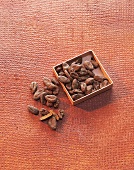 Schokolade, Kakaobohnen Sorte Criollo