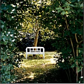 weiße Holzbank unter Baum Gartenbank