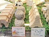 Different forms of cheese on shelf at counter