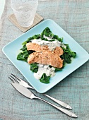 Steamed and sliced salmon with spinach on square blue plate