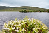 Irland: Glenveagh-Nationalpark, Hügellandschaft