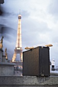 Close-up of suitcase and baguette bread on wall with Eiffel Tower in background, Paris
