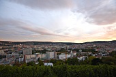 View of vineyard and cityscape in Stuttgart, Germany