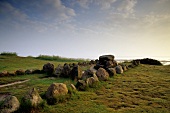 View of Megalithic grave in Westerland, Sylt, Germany