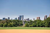 View of skyline and Central park in New York, USA