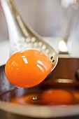 Close-up of egg yolk on skimmer