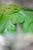 Close-up of spinach puree on spoon