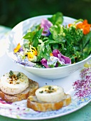 Bowl of herbal blossom salad with goat cheese on plate