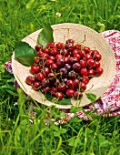 Sommerküche, Strohhut, gefüllt mit Süßkirschen