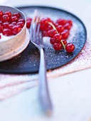 Close up of red currants with fork