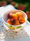 Sommerküche, Schälchen mit Aprikosen, Unschärfe