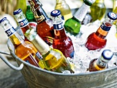 Bottles in zinc bucket with ice cubes