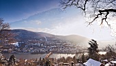 Heidelberg: Berge, Blick auf Alt- stadt, Neckar, Winter