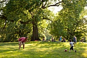 Children playing in park, New York, USA
