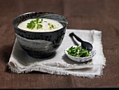Cauliflower soup in bowl