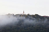 Dilsberg: Stadt bei Morgennebel, idyllisch