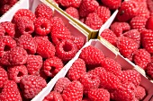 Close-up of fresh raspberries in box