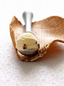 Close-up of rum raisin ice-cream in ice-cream scoop on waffle